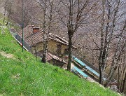 In Canto Alto (1146 m) da Ripa-Zogno ad anello fiorito il 10 aprile 2025 - FOTOGALLERY